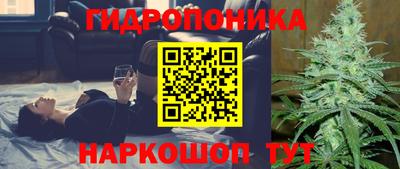 прущие грибы Тула