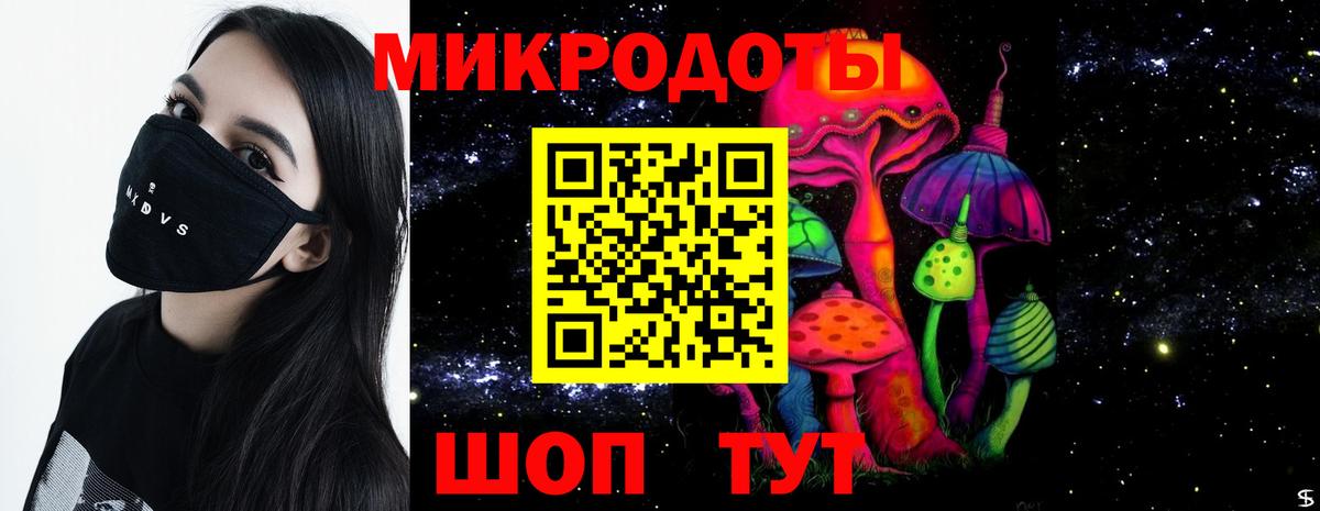 Псилоцибиновые грибы прущие грибы Моздок